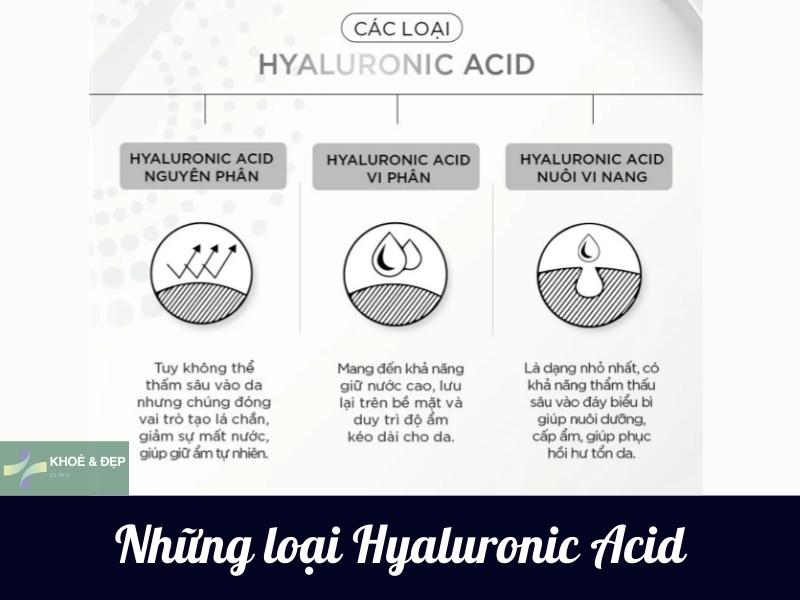 Các dạng và phân loại của Hyaluronic Acid