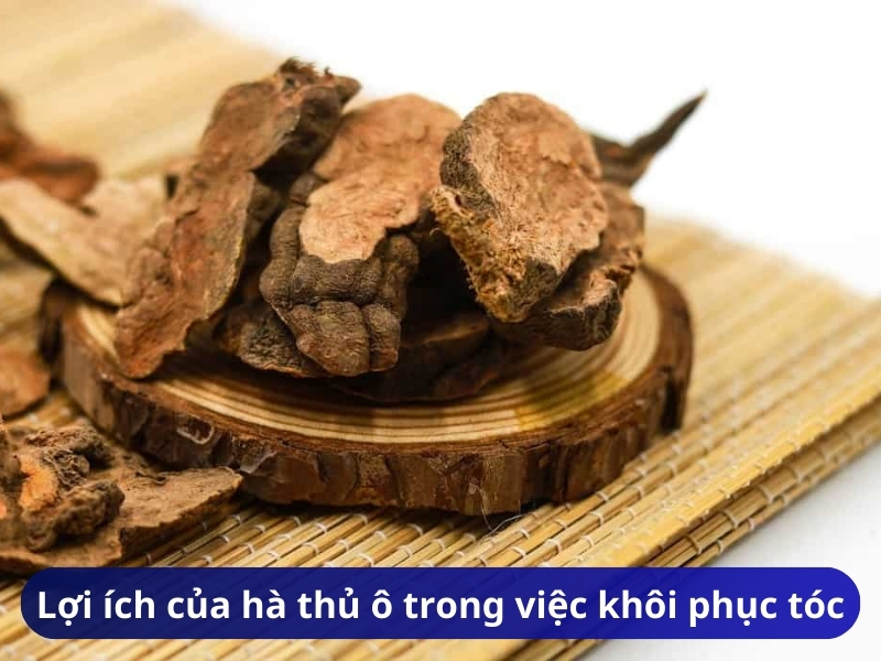 Lợi ích của hà thủ ô trong việc khôi phục tóc