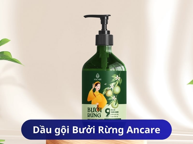 Dầu gội Bưởi Rừng Ancare