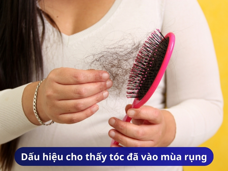 Dấu hiệu cho thấy tóc đã vào mùa rụng
