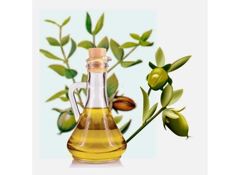 Dầu Jojoba