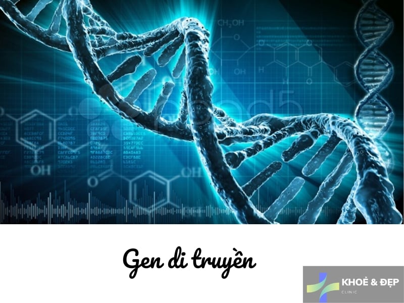 Yếu tố di truyền