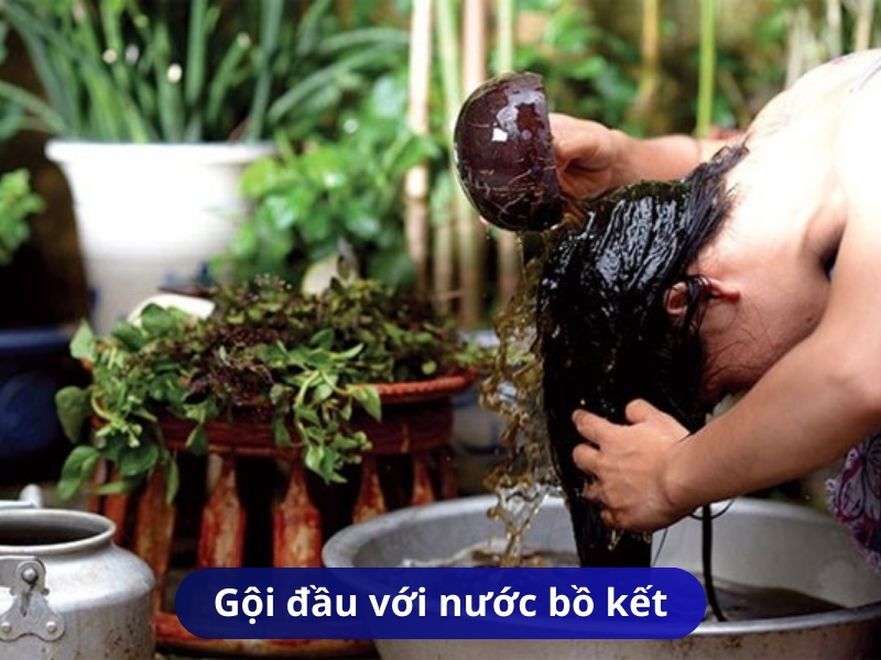Gội đầu với nước bồ kết