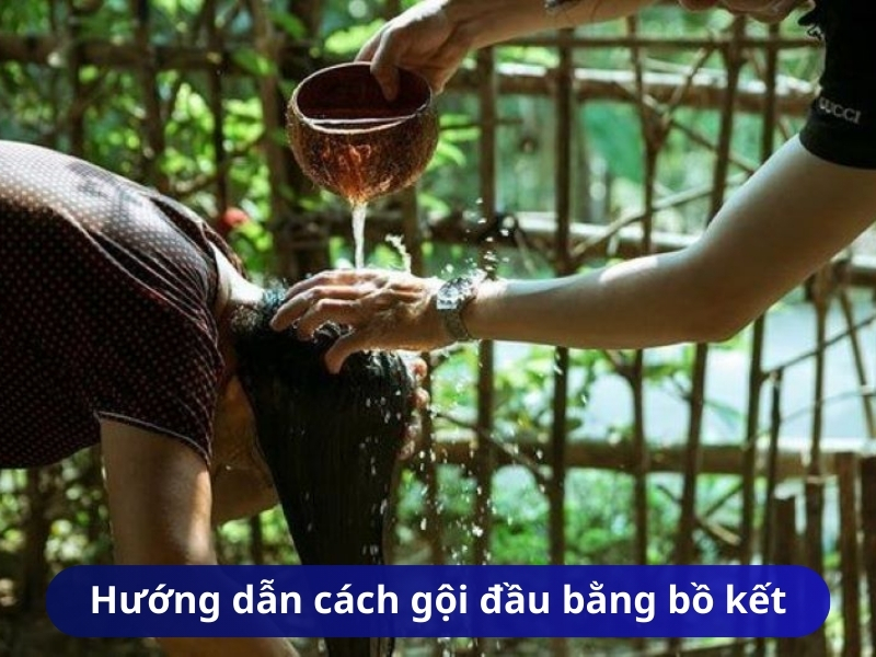 Hướng dẫn cách gội đầu bằng bồ kết