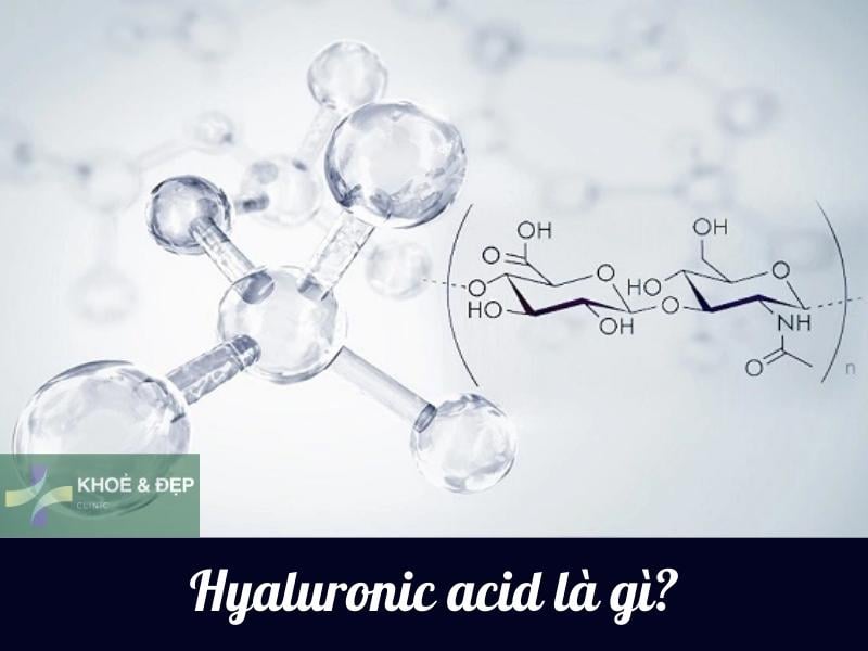 Hyaluronic Acid - HA là gì?