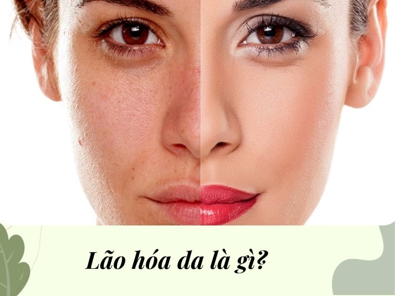 Lão hóa da là gì?