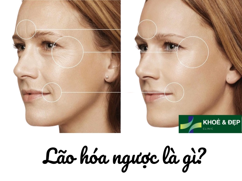 Khái niệm lão hóa ngược là gì?