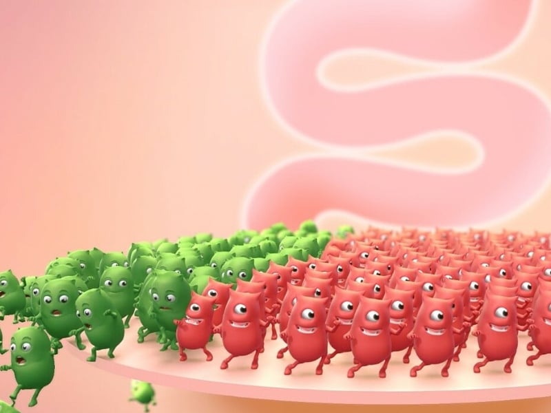 Mất cân bằng vi khuẩn đường ruột