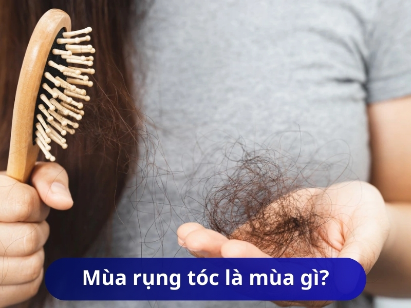 Mùa rụng tóc là mùa gì?