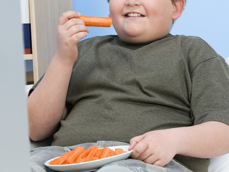 Nguyên nhân gây ra bệnh béo phì ở trẻ em