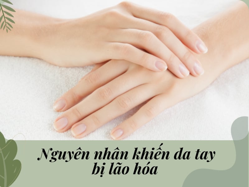 Nguyên nhân khiến da tay bị lão hóa