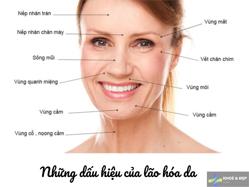 Những dấu hiệu nhận biết lão hóa