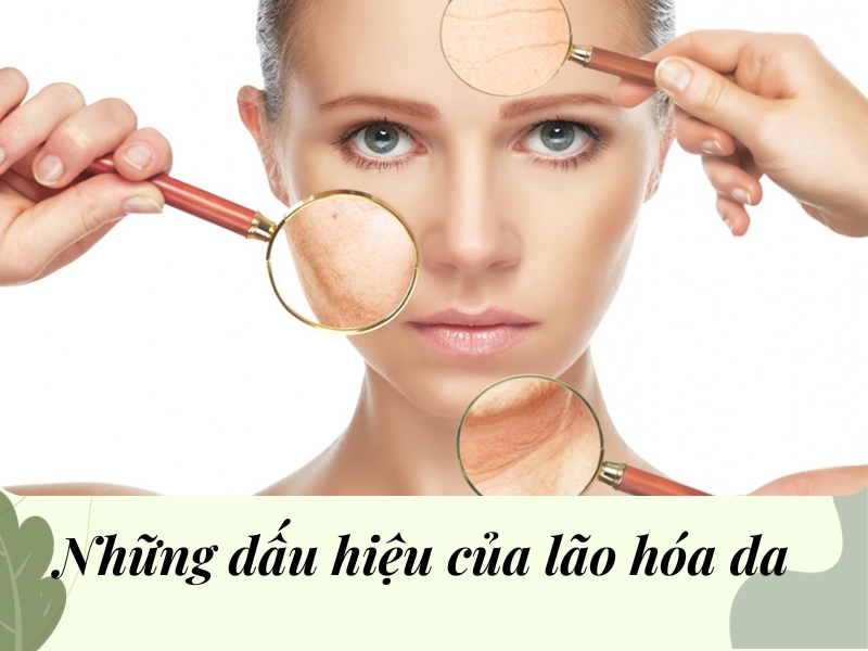 Những dấu hiệu của lão hóa da