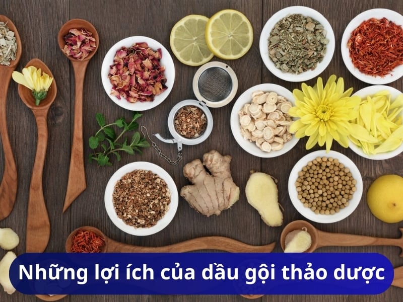 Những lợi ích của dầu gội thảo dược