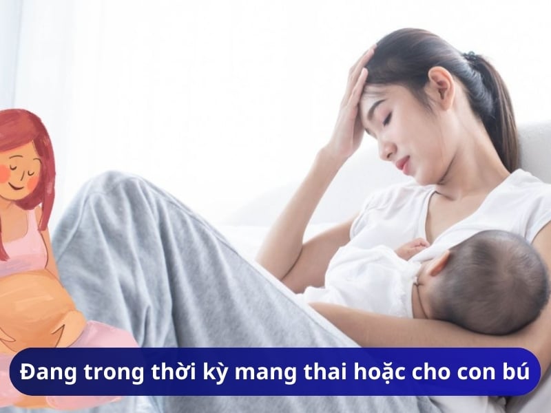 Đang trong thời kỳ mang thai hoặc cho con bú