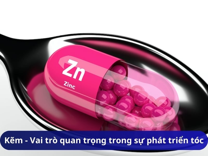 Kẽm - Vai trò quan trọng trong sự phát triển tóc