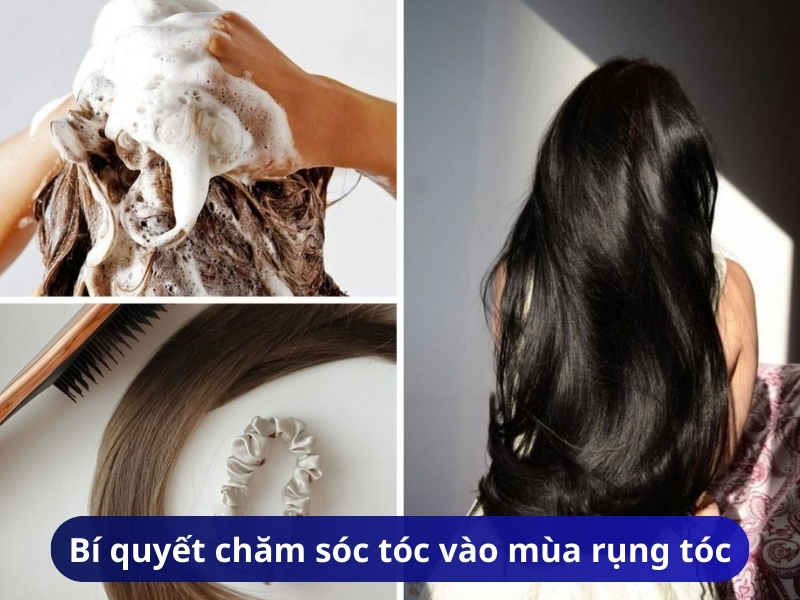 Bí quyết chăm sóc tóc vào mùa rụng tóc để giảm rụng