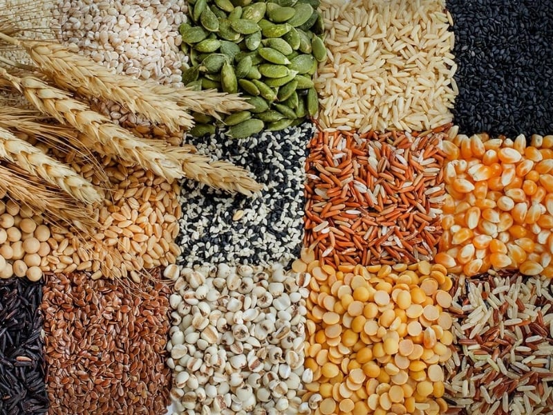 Sử dụng hạt và ngũ cốc