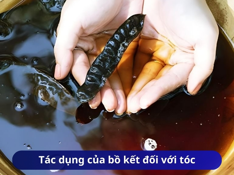Tác dụng của bồ kết đối với tóc