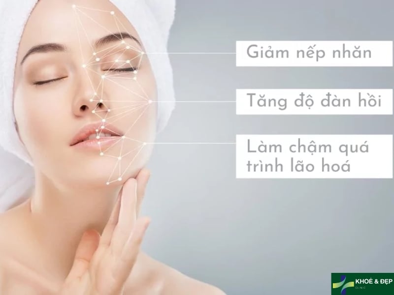 Công dụng của collagen
