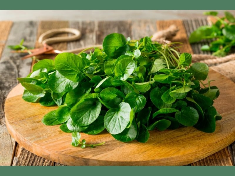 Ăn gì đẹp da chống lão hóa – Cải xoong