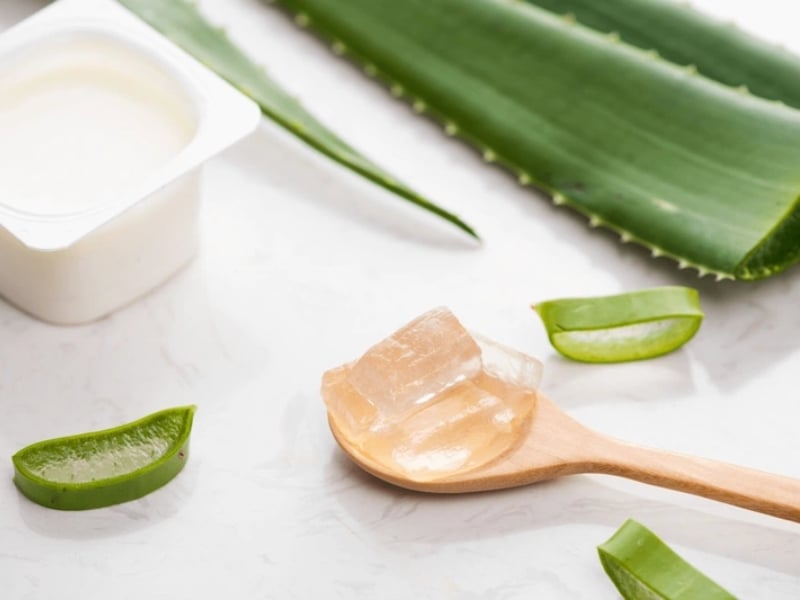 Trị thâm mông bằng lô hội