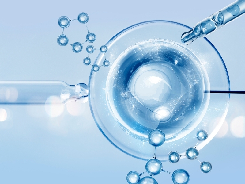 Vai trò của HA trong quá trình phục hồi da