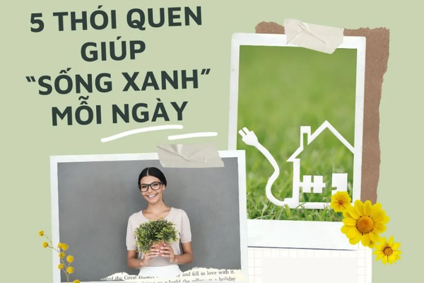 5 Thói Quen Nhỏ Để Sống Xanh Hơn Mỗi Ngày
