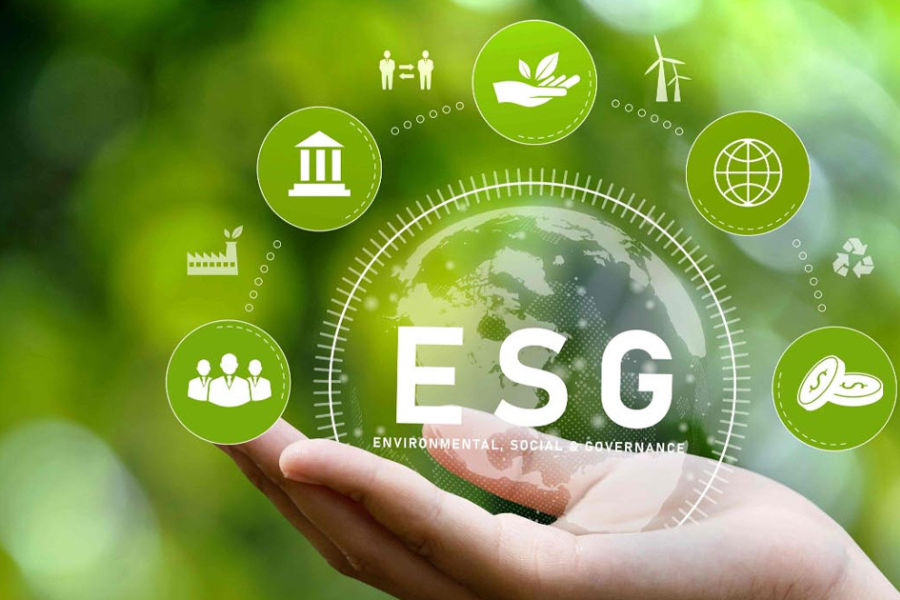 ESG là gì? Vì sao doanh nghiệp nên bắt đầu triển khai ESG từ hôm nay?