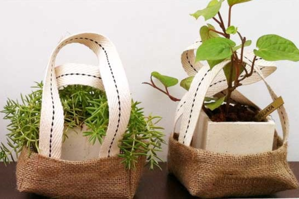 Green Gift bắt tay cùng Green Hero Farm: Biến Cây Xanh Thành Quà Tặng