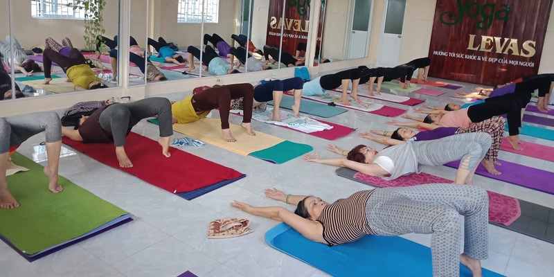 Bỏ túi ngay 13 phòng tập yoga Đà Nẵng uy tín và chất lượng nhất