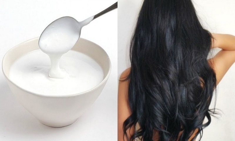 Mách bạn 8 cách ủ tóc bằng sữa chua hiệu quả nhanh bất ngờ