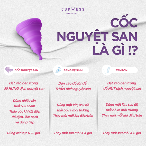 Cốc nguyệt san là gì?