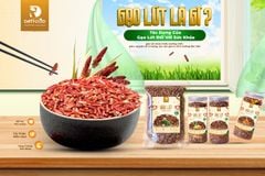 Gạo lứt là gì? Tác dụng của gạo lứt đối với sức khỏe.