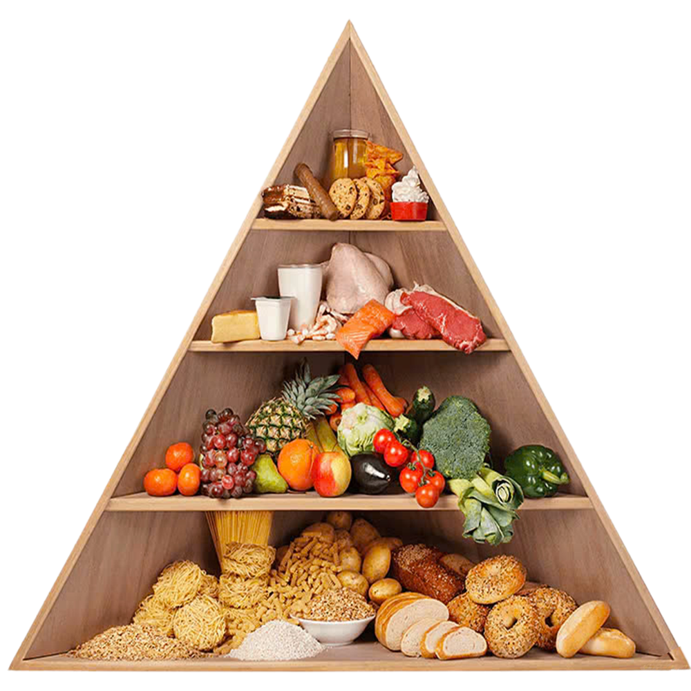 Dinh dưỡng và sức khoẻ