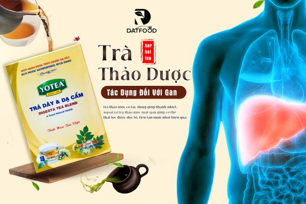 Tác dụng trà linh chi bio