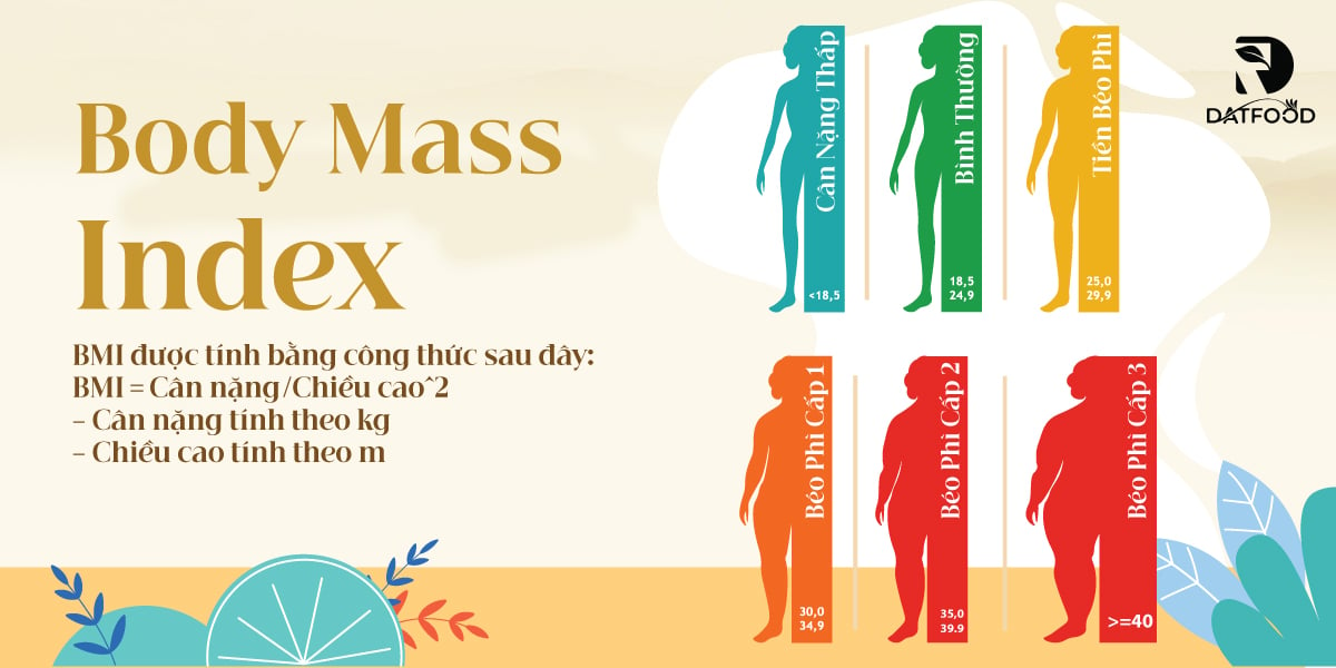 BMI là gì? Cách tính chỉ số BMI
