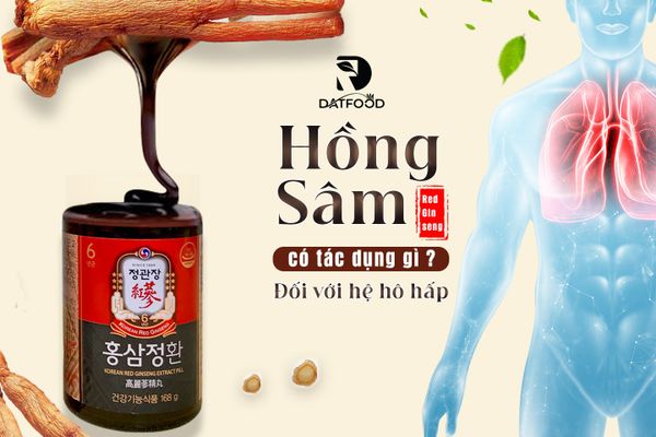 Hồng sâm có tác dụng gì với hệ hô hấp?