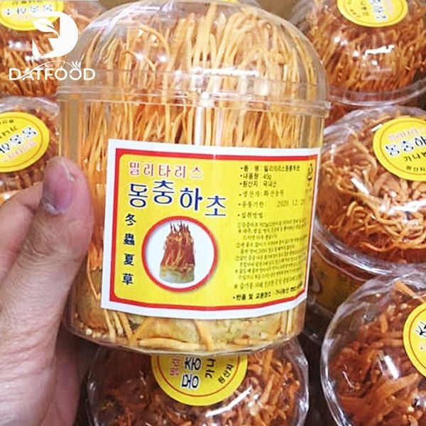 Nấm đông trùng hạ thảo sấy khô Hàn Quốc hộp 45g chất lượng