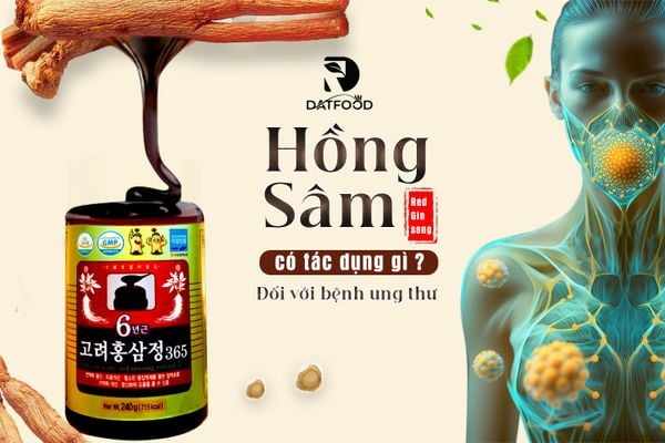 Hồng sâm có tác dụng gì với bệnh ung thư