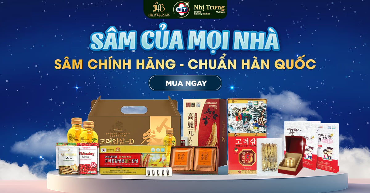 Sâm Thượng hạng HB Wellness Hàn Quốc
