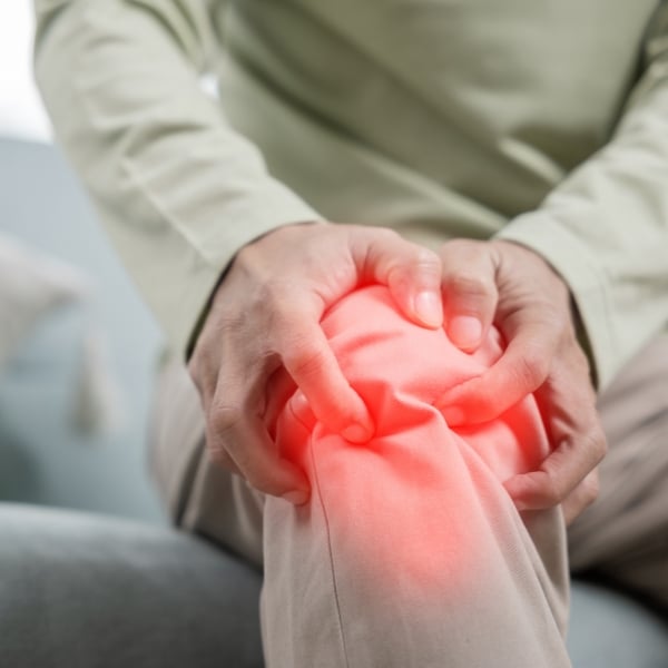 Cứu Ngải Chữa Bệnh Đau Cơ Xương Khớp – Giải Pháp An Toàn, Hiệu Quả Từ Đông Y