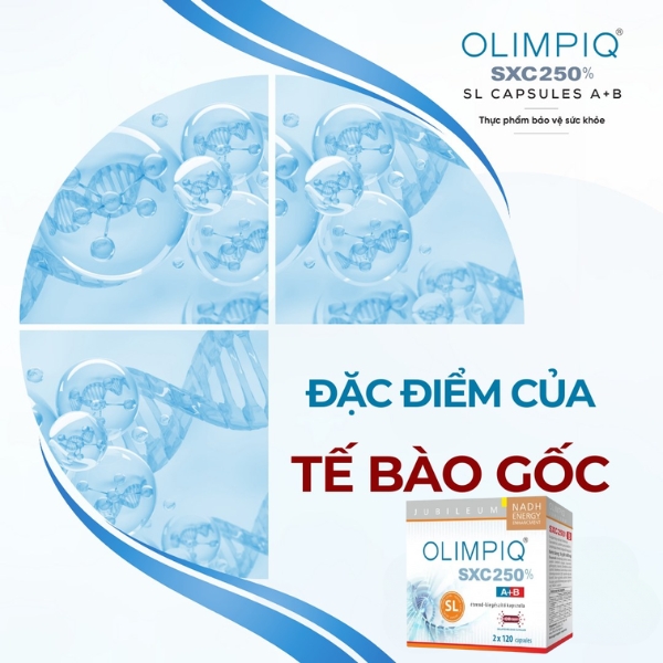 Olimpiq SXC - Một số câu hỏi thường gặp về tế bào gốc