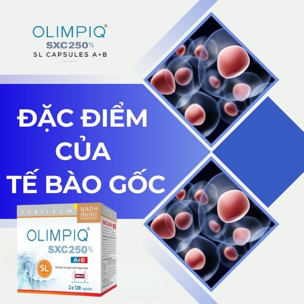 Nghiên cứu về Tăng sinh tế bào gốc Olimpiq SXC - công nghệ y học từ Hungary