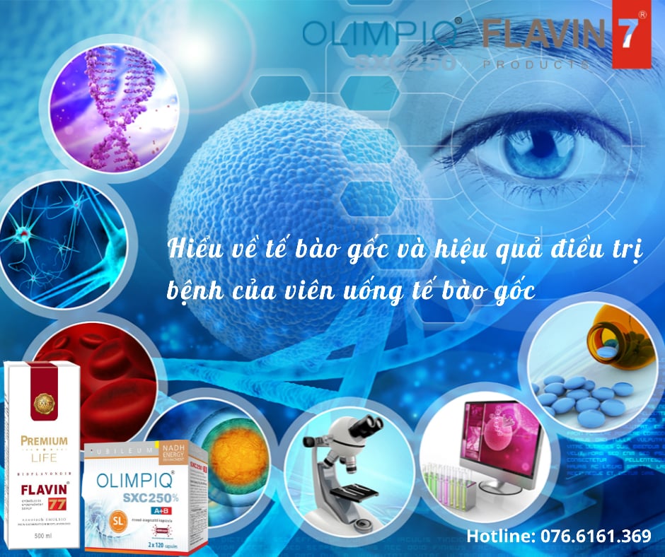 Hiểu về tế bào gốc: Còn tế bào gốc là còn sự sống