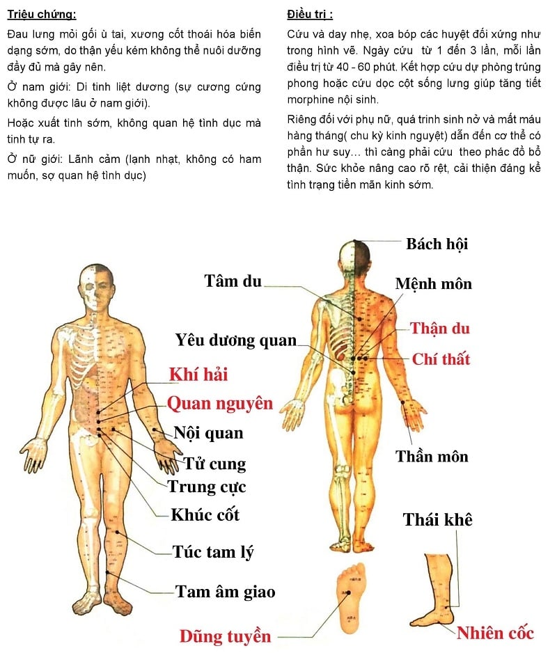 Chữa Di Tinh Liệt Dương Bằng Phương Pháp Cứu Ngải
