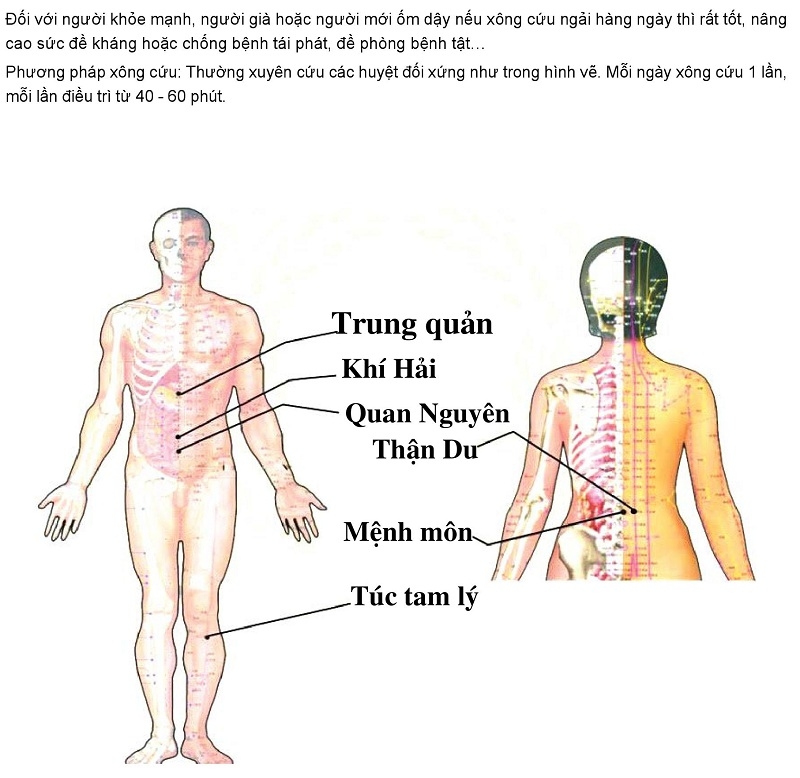 Phương pháp cứu ngải và máy cứu ngải Maxonga giúp dự phòng cảm mạo và dưỡng sinh, nâng cao sức khỏe hiệu quả