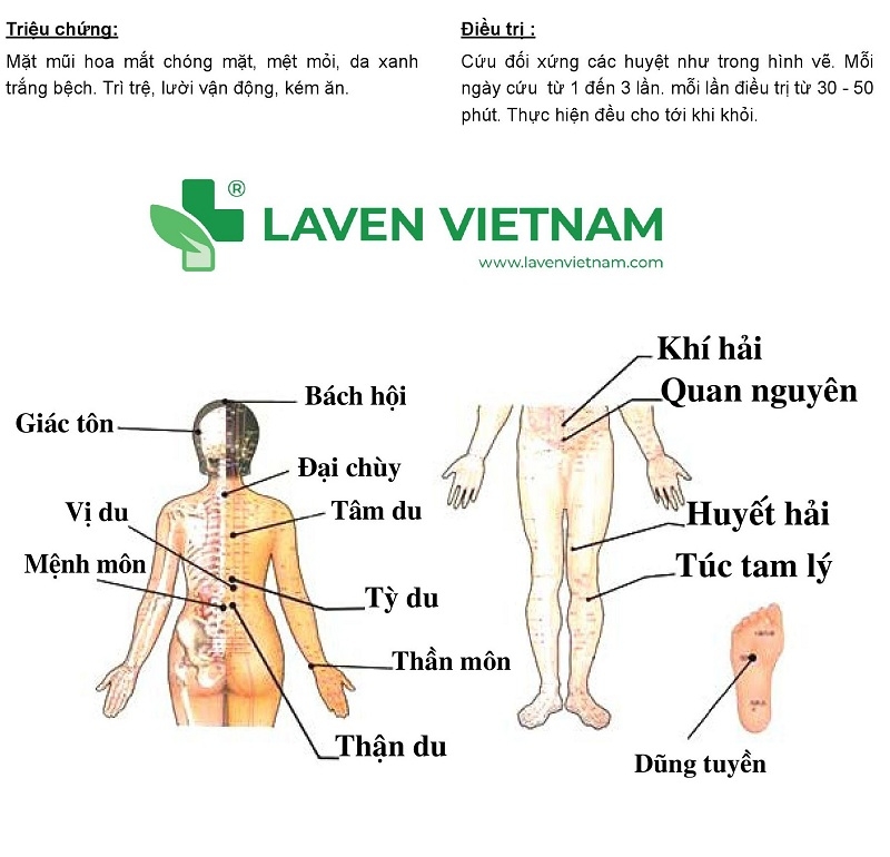 Chữa Huyết Áp Thấp bằng máy cứu ngải