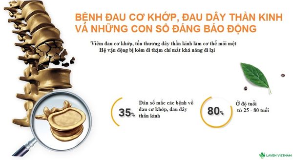 Maxonga – Giải pháp an toàn, hiệu quả cho người bị đau mạn tính