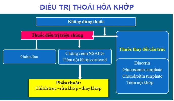 Điều Trị Thoái Hóa Khớp